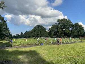 Boots on the Farm Rescheduled for November 21 Due to Severe Weather Concerns