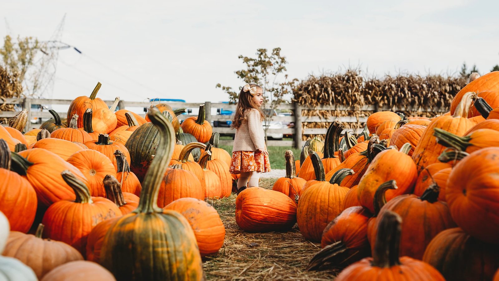 Blackwater UMC Pumpkin Patch