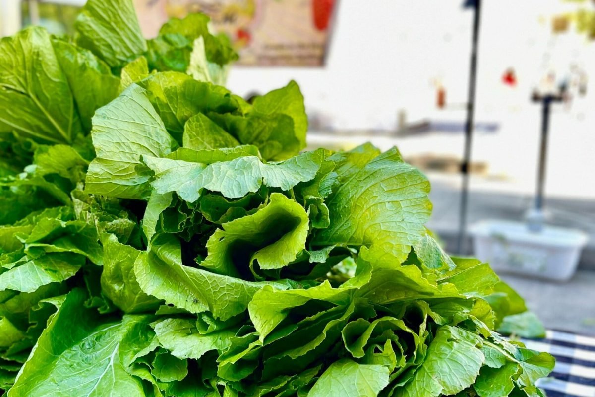 Red Stick Farmers Market and Arts Market Join Forces Downtown Saturday